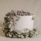 Plant in a Box - Ceropegia Woodii - Set van 2 Chinese Lantaarnplantjes - Pot 14cm - Hoogte 20-30cm
