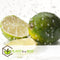 Plant in a Box - Citrus aurantifolia Limoen - Citroenboom - Set van 3 - Pot 9cm - Hoogte 25-40cm - Kuipplant