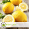 Plant in a Box - Citrus Limon XL stam - Citroenboom - Prachtige sierplant met geurige bloemen - Pot 19cm - Hoogte 100-120cm