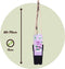 Plant in a Box - Clematis patens - Set van 4 Clematis Hagley Hybrid - Winterharde klimplanten - Pot 15cm - Hoogte 60-70cm