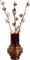 Plant in a Box - Cotton Branch - Katoen - Droogbloemen - set van 3 takken - Hoogte 40-60 cm
