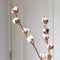 Plant in a Box - Cotton Branch - Katoen - Droogbloemen - set van 3 takken - Hoogte 40-60 cm