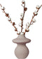 Plant in a Box - Cotton Branch - Katoen - Droogbloemen - set van 3 takken - Hoogte 40-60 cm