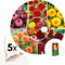 Plant in a Box - Dahlia Pompon - Dahlia knollen - Mix van 5 - Kleurrijke mix van verschillende opvallende dahlia bloemen - Dahlia knol mix - Zomerbloeiers