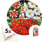 Plant in a Box - Dahlia 'Sunset Mix' - set van 5 - zomerbloeiers - dahliaknollen - tuinbloemen - Wit / Rood / Geel