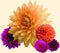 Plant in a Box - Dahliaknollen - 4 stuks - Dahlia 'Bouqet Sunshine' - Knolgewas