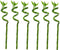 Plant in a Box - Dracaena sanderiana - Set van 6 - Geluksbamboe - Leliefamilie - Kamerplant - Hoogte 40-50cm
