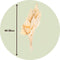 Plant in a Box - Droogbloemen - 10 stuks - Boeket 'Palmspear Bleached White' - Hoogte 40-50cm