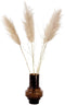 Plant in a Box - Droogbloemen - 5 stuks - Dryflower 'Cortaderia Plum' - Hoogte 115cm - Pampasgras