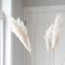 Plant in a Box - Droogbloemen - 5 stuks - Dryflower 'Cortaderia Plum' - Hoogte 115cm - Pampasgras