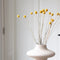 Plant in a Box - Droogbloemen - Boeket 'Craspedia natural yellow' - Hoogte 40-50cm - Geel