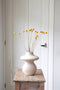 Plant in a Box - Droogbloemen - Boeket 'Craspedia natural yellow' - Hoogte 40-50cm - Geel