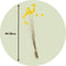Plant in a Box - Droogbloemen - Boeket 'Craspedia natural yellow' - Hoogte 40-50cm - Geel