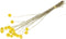Plant in a Box - Droogbloemen - Boeket 'Craspedia natural yellow' - Hoogte 40-50cm - Geel