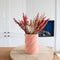 Plant in a Box - Droogbloemen - Boeket 'Dining Sweetheart' - Hoogte 35cm - Papaver - Triticale - Haver - Tarwe - Setarea