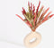 Plant in a Box - Droogbloemen - Boeket 'Dining Sweetheart' - Hoogte 35cm - Papaver - Triticale - Haver - Tarwe - Setarea