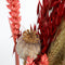 Plant in a Box - Droogbloemen - Boeket 'Dining Sweetheart' - Hoogte 35cm - Papaver - Triticale - Haver - Tarwe - Setarea