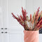 Plant in a Box - Droogbloemen - Boeket 'Dining Sweetheart' - Hoogte 35cm - Papaver - Triticale - Haver - Tarwe - Setarea
