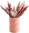 Plant in a Box - Droogbloemen - Boeket 'Dining Sweetheart' - Hoogte 35cm - Papaver - Triticale - Haver - Tarwe - Setarea