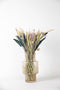 Plant in a Box - Droogbloemen - Boeket 'Loose Fit Brussels' - Hoogte 50cm - Setarea - Helichrysum - Phalaris - Triticale