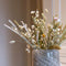 Plant in a Box - Droogbloemen - Boeket 'Nature's Pride' - Hoogte 35cm - Phalaris - Papaver - Tarwe - Setaria - Acroclinium - Lagurus Ovatus