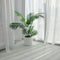 Plant in a Box - Dypsis Lutescens - Set van 2 - Areca - Goudpalm - Luchtzuiverende groene kamerplant - Pot 12cm - Hoogte 30-45cm