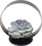 Plant in a Box - Echeveria Black Metal Ring - succulent in decoratieve, metalen ring - 20 cm - Zwart