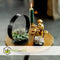 Plant in a Box - Echeveria Black Metal Ring - succulent in decoratieve, metalen ring - 20 cm - Zwart