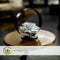 Plant in a Box - Echeveria Black Metal Ring - succulent in decoratieve, metalen ring - 20 cm - Zwart