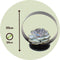Plant in a Box - Echeveria Black Metal Ring - succulent in decoratieve, metalen ring - 20 cm - Zwart