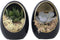 Plant in a Box - Echeveria in decoratief ei - set van 2 - hoogte 12 cm - Zwart, Goud