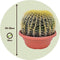 Plant in a Box - Echinocactus grusonii - Schoonmoedersstoel - Cactus - Bolcactus - Pot 25cm - Hoogte 25–35cm