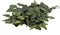 Plant in a Box - Eucalyptus Stuartiana - Gedroogde Eucalyptus - Hoogte 40-50 cm
