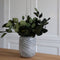 Plant in a Box - Eucalyptus Stuartiana - Gedroogde Eucalyptus - Hoogte 40-50 cm