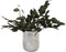 Plant in a Box - Eucalyptus Stuartiana - Gedroogde Eucalyptus - Hoogte 40-50 cm