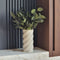 Plant in a Box - Eucalyptus Stuartiana - Gedroogde Eucalyptus - Hoogte 40-50 cm