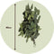 Plant in a Box - Eucalyptus Stuartiana - Gedroogde Eucalyptus - Hoogte 40-50 cm