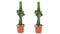 Plant in a Box - Euphorbia Eritrea - Set van 2 Cowboy Cactus - kamerplant - Pot 17cm - Hoogte 50-60cm