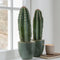 Plant in a Box - Euphorbia Ingens 'cowboycactus' - Set van 2 - cactus - pot 18cm - hoogte 40-50cm