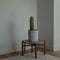Plant in a Box - Euphorbia Ingens 'cowboycactus' - Set van 2 - cactus - pot 18cm - hoogte 40-50cm