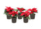 Plant in a Box - Euphorbia pulcherrima - Kerstster - Set van 5 - Pot 7cm - Hoogte 5-10cm