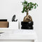 Plant in a Box - Ficus Ginseng - Set van 2 - Japanse Bonsai Kamerplanten - Pot 12cm - Hoogte 30-40cm