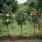 Plant in a Box - Fruitbomen - mix van 6 - appels, peer - Malus Braeburn, Pyrus 'Doyenne du Comice', Malus ‘Baya Marisa' - Pot 9cm - Hoogte 60-70cm