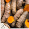 Plant in a Box - Geelwortel - 2 stuks - Curcuma Longa - Kruidenplant