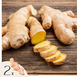 Plant in a Box - Gember - 2 stuks - Ginger Officinale - Kruidenplant