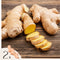 Plant in a Box - Gember - 2 stuks - Ginger Officinale - Kruidenplant