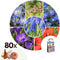 Plant in a Box - Happy Bee Mix - Bloembollen x80 - Aantrekkelijk voor Bijen - Voor Tuin, Terras en Balkon