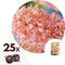 Plant in a Box - Hyacinthus Gipsy Queen - 25x Winterharde Bloembollen Hyacinten - Vroegbloeiende bloembollen voor de Tuin