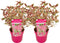 Plant in a Box - Hydrangea 'Euphorbia Pink' - set van 2 - Hortensia - Potmaat 19cm - Hoogte 40-50 cm