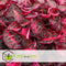 Plant in a Box - Iresine Herbstii 'Red' - Biefstukplant Rood - Kamerplant - Pot 13cm - Hoogte 20-30cm